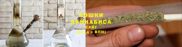 гидра Пестово