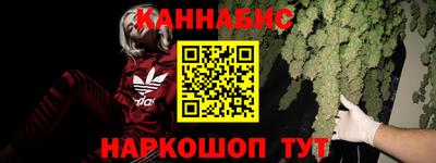 PSILOCYBIN Будённовск