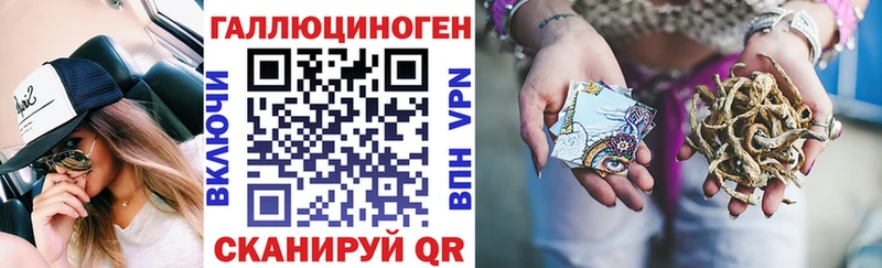 Галлюциногенные грибы Psilocybe Новодвинск
