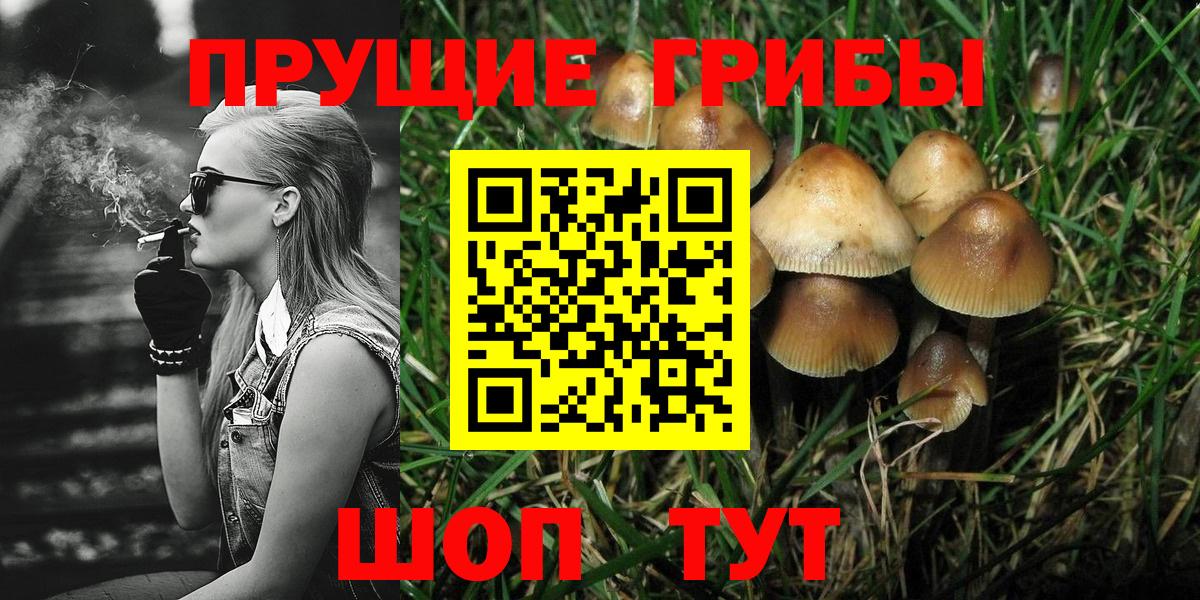 Псилоцибиновые грибы прущие грибы  Вход с VPN  купить наркоту  Новодвинск  Галлюциногенные грибы мухоморы 